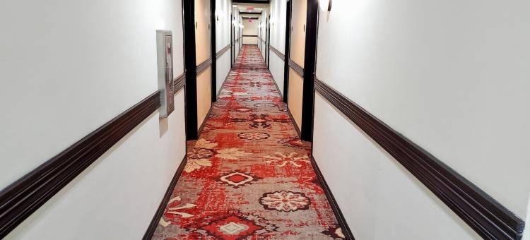 Hawthorn Suites by Wyndham Lubbock图片