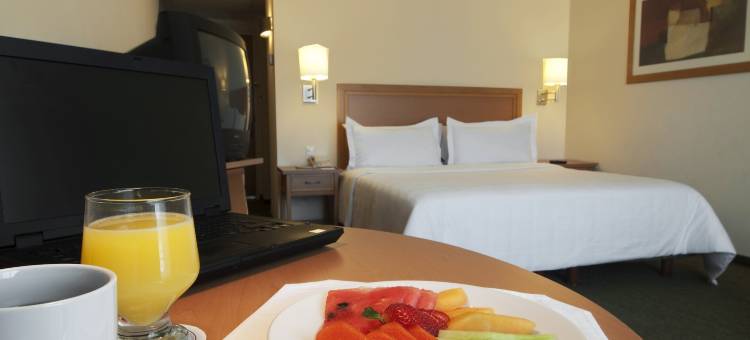 托卢卡中心嘉年华酒店(Fiesta Inn Toluca Centro)图片