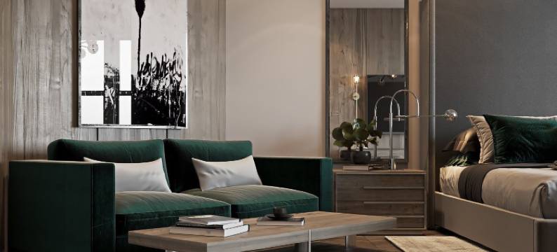 奢华套房出租公寓(Luxury Suites - Free Parking)图片