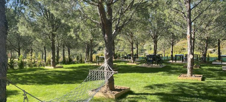 Elyada 宾馆 (+8 岁)(Elyada Otel ve Bağ Evi 8 Yaş Üstü)图片