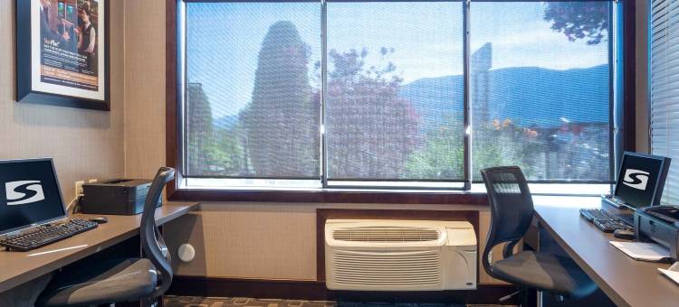 卡斯尔加桑德曼酒店(Sandman Hotel Castlegar)图片