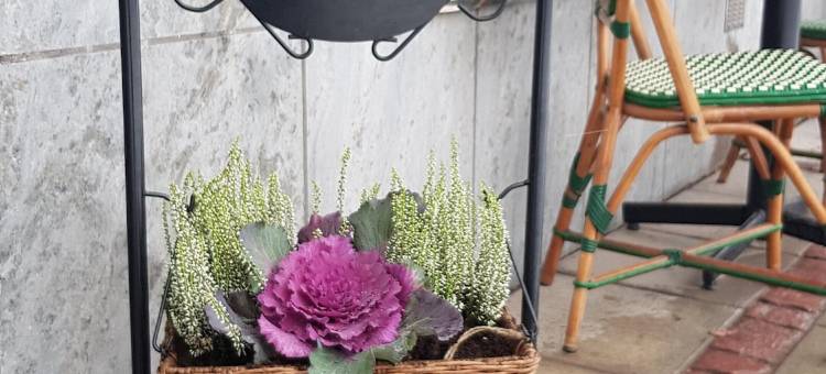 穆拉比谢普斯阿姆斯酒店(Hotel Bishops Arms Mora)图片