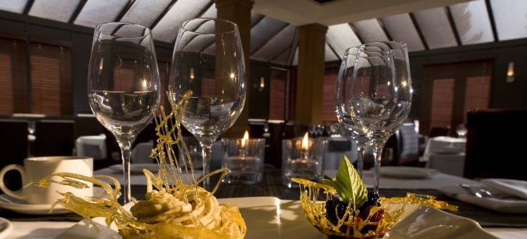 温哥华机场行政酒店(Executive Hotel Vancouver Airport)图片