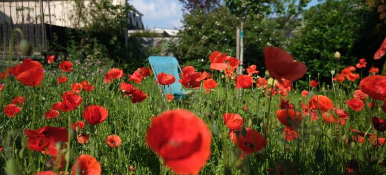 切斯里克爱特费尔酒店(Chez Ric et Fer)图片