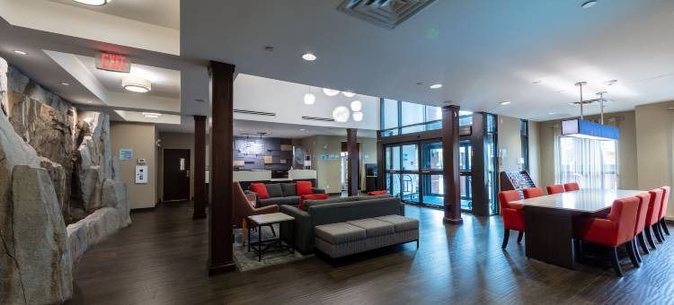 里弗波特列治文智选假日套房酒店(Holiday Inn Express & Suites Riverport Richmond)图片