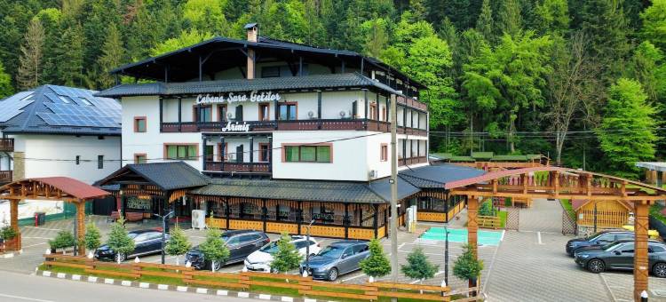 苏拉格提洛尔阿里尼斯小屋酒店(Cabana Sura Getilor Arinis)图片