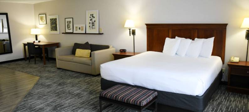 爱荷华州道奇堡贝斯特韦斯特和谐酒店(Best Western Harmony Inn Fort Dodge Iowa)图片