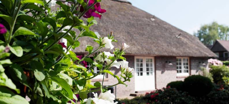 布洛尔法桑酒店(Hotel Blauer Fasan)图片