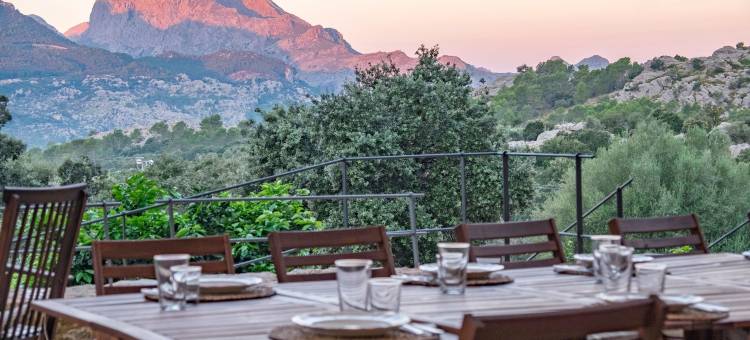 松阿尔兹内斯农家乐(Agroturismo Son Alzines)图片