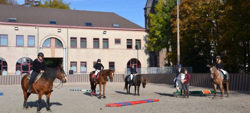 哈拉斯恰特鲁萨酒店(Haras des Chartreux)图片
