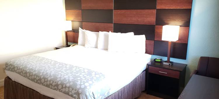 海滨假日套房酒店 - 奥蒙德(Oceanfront Inn and Suites)图片