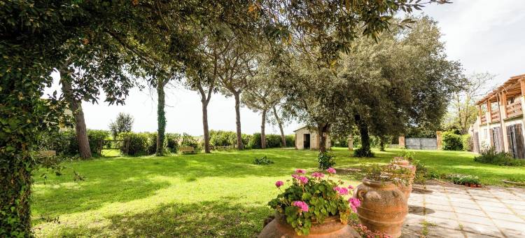有机农庄圣马米利亚诺(Agriturismo Bio San Mamiliano)图片