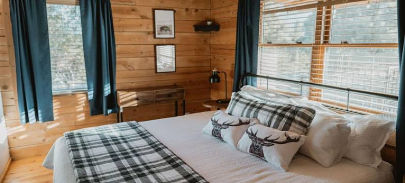 风景优美的木屋温泉 by Casa Oso(Scenic View Timber Lodge HotTub by Casa Oso)图片