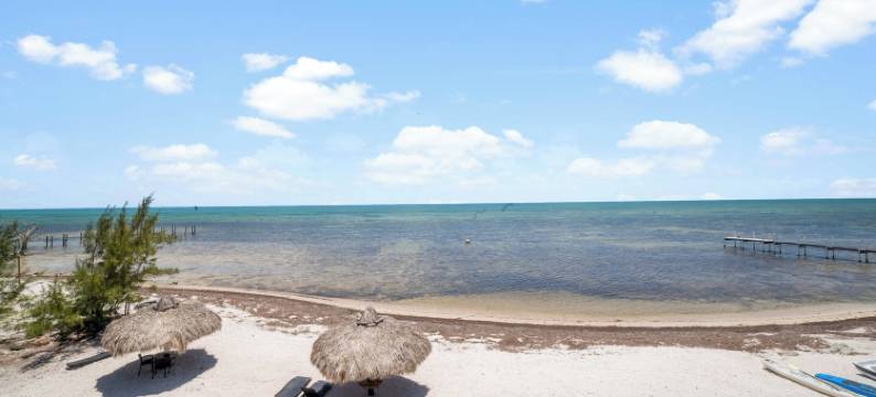 巴纳克度假村(Barnacle Bed and Breakfast)图片