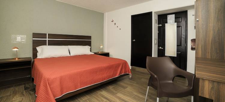 大都会O精品酒店Las Torres(Capital O Hotel Boutique Las Torres)图片