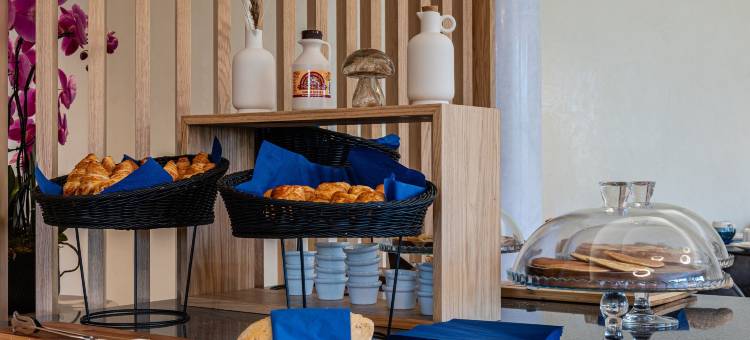 巴黎 - 罗斯尼的Brit Hotel Privilège(Brit Hotel Privilège Paris Rosny-Sous-Bois)图片