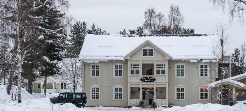 艾格多伯格尔斯杜酒店(Eggedal Borgerstue)图片