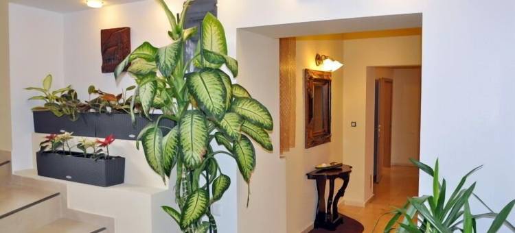 安姆比恩特膳食公寓酒店(Pensiunea Ambient)图片