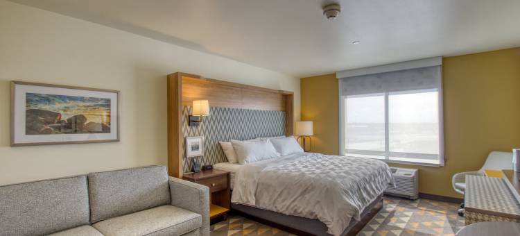 阿普尔顿威斯康星假日酒店(Holiday Inn Appleton)图片