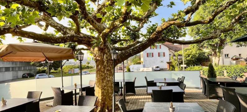 塞勒的酒店(Seiler's Hotel)图片