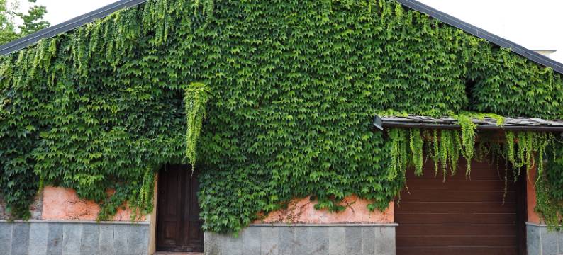 橙色之家(La Casa Arancione)图片