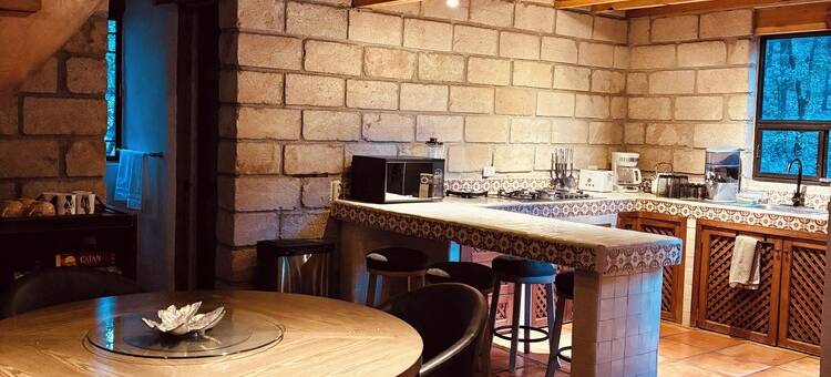 Cabin immersed in 1 hectare of forest. Maximum Internet power (Starlink)图片