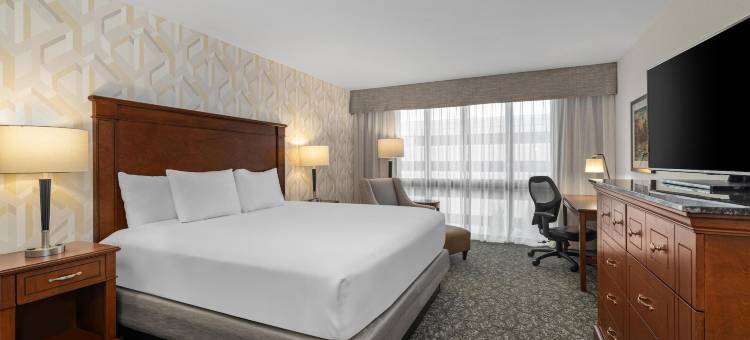 圣路易斯克雷夫科尔德鲁里套房酒店(Drury Plaza Hotel St Louis Creve Coeur)图片