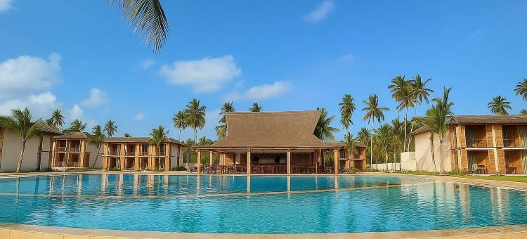 JAZ精英极光(JAZ Elite Aurora)图片