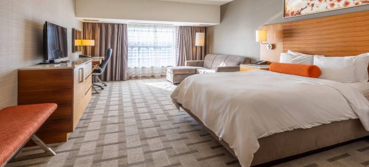 卡尔加里机场丽笙酒店及会议中心(Radisson Hotel & Conference Centre Calgary Airport)图片