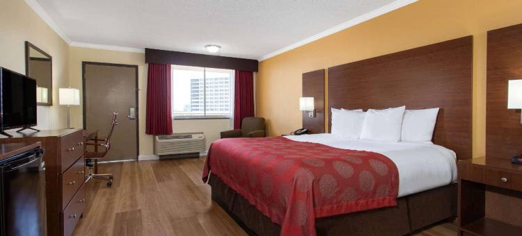 温德姆华美达-坦帕西岸机场南(Ramada by Wyndham Tampa Westshore Airport South)图片