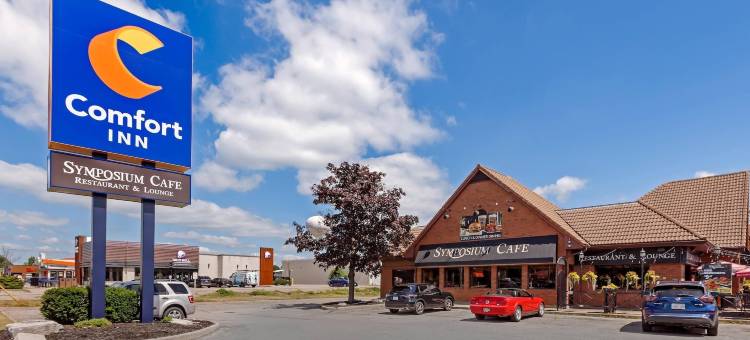 舒适酒店(Comfort Inn)图片