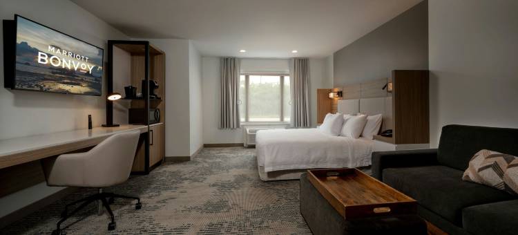 休斯顿布鲁克哈罗万豪SpringHill酒店(SpringHill Suites Houston Brookhollow)图片