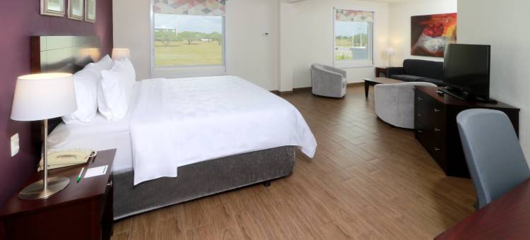 Holiday Inn 雷诺萨，工业PONIENTE(Holiday Inn Reynosa-Industrial Poniente)图片