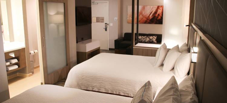 巴尔的摩白沼泽中河SpringHill Suites酒店(SpringHill Suites Baltimore White Marsh/Middle River)图片