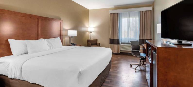 舒适酒店(Comfort Inn)图片