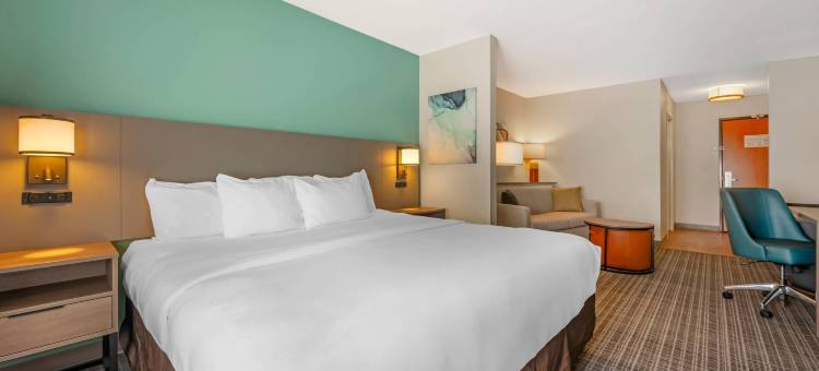 舒适套房酒店(Comfort Suites French Lick)图片