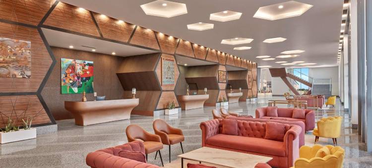 诺富特齐普尔会议中心酒店(Novotel Jaipur Convention Centre)图片