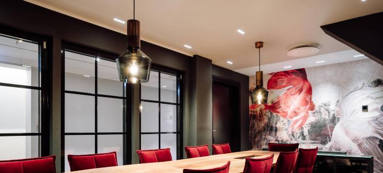 阿默利卡林琴酒店(Amerikalinjen)图片