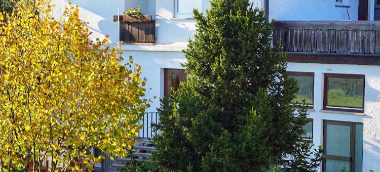 索内斯钦酒店餐厅(Hotel Restaurant Sonnenschein)图片