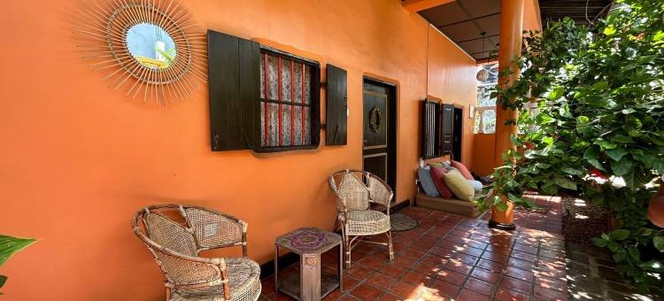 胖美人鱼(The Fat Mermaid)图片