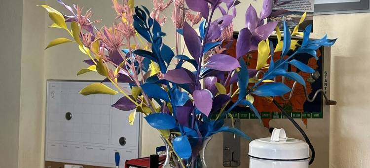 Suburban Studios Brunswick I-95图片