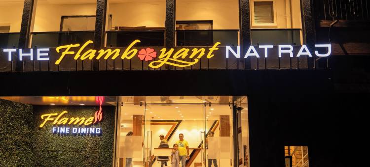 辉煌的纳特拉吉(The Flamboyant Natraj)图片