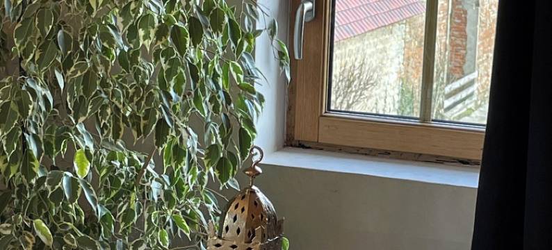 埃科多曼乐维林-度假屋和水疗(Écodomaine le Vérin, Gîtes et Spa - Mer, Nature & Confort - Côte d'Opale)图片