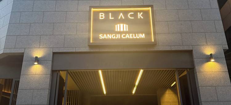 江南凯勒姆布莱克豪华寓所(Caelum Black Gangnam Luxury Residence)图片