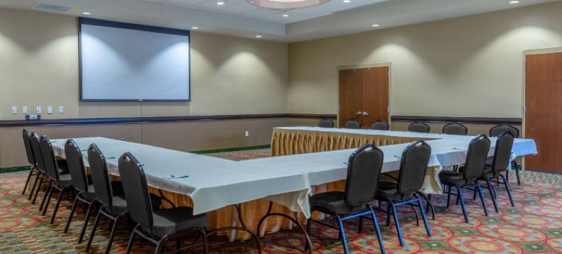 Holiday Inn 欧克莱尔(Holiday Inn EAU CLAIRE SOUTH I-94 by IHG)图片