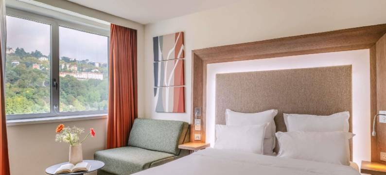 里昂中心索恩汇合诺富特酒店(Novotel Lyon Centre Confluence Bord de Saone)图片