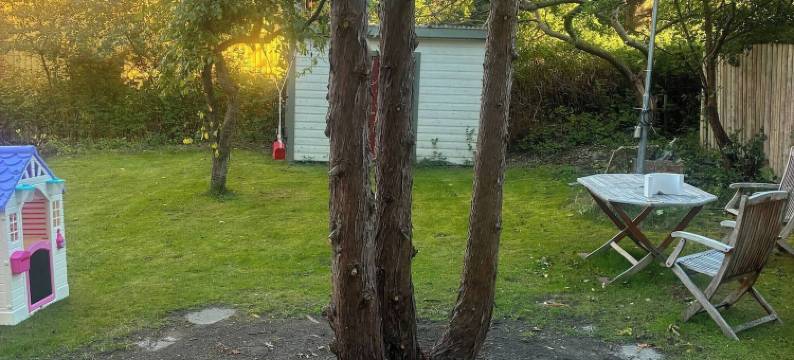 安妮的灯光古董之家(Annies Light Antique House)图片