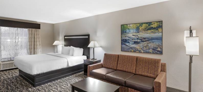 麦克多诺贝斯特韦斯特优质酒店及套房(Best Western Plus McDonough Inn  Suites)图片