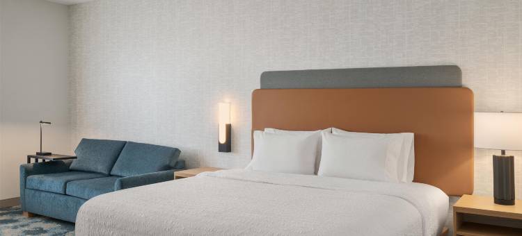 希尔顿里士满切斯特欢朋酒店(Hampton Inn by Hilton Richmond Chester)图片