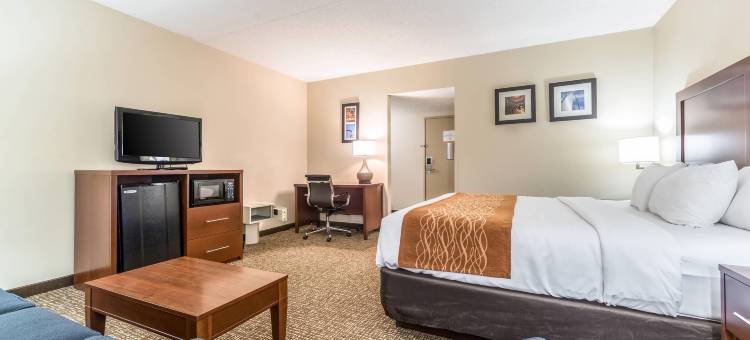 费斯特-南圣路易斯舒适酒店(Comfort Inn Festus-St Louis South)图片